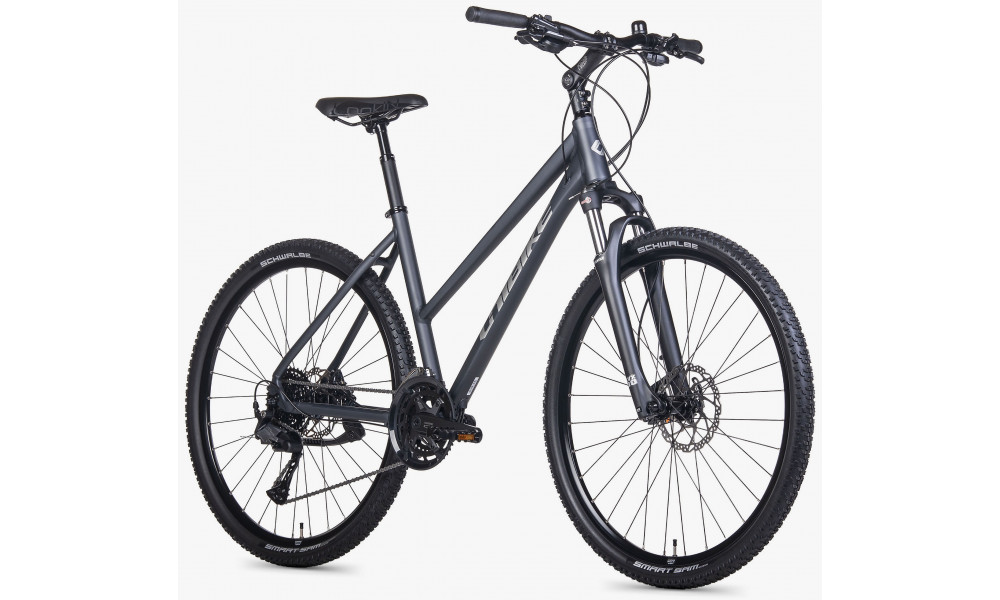 Dviratis Unibike Viper LDS 2026 grey - 2