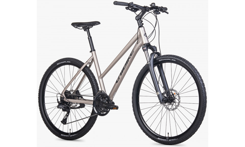 Dviratis Unibike Viper LDS 2026 titan - 2