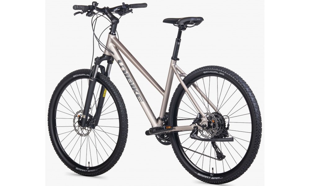 Dviratis Unibike Viper LDS 2026 titan - 4