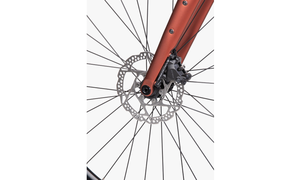 Dviratis Unibike Tier 2026 brandy - 7