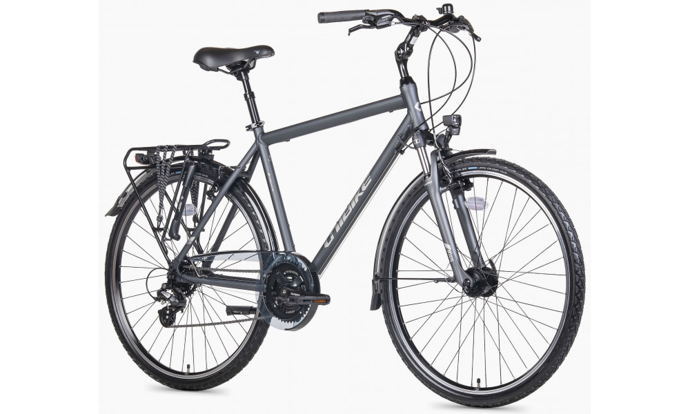 Dviratis Unibike Vision GTS 2026 grey - 2
