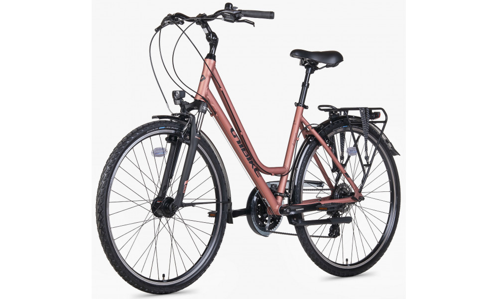 Dviratis Unibike Vision LDS 2026 coral - 3