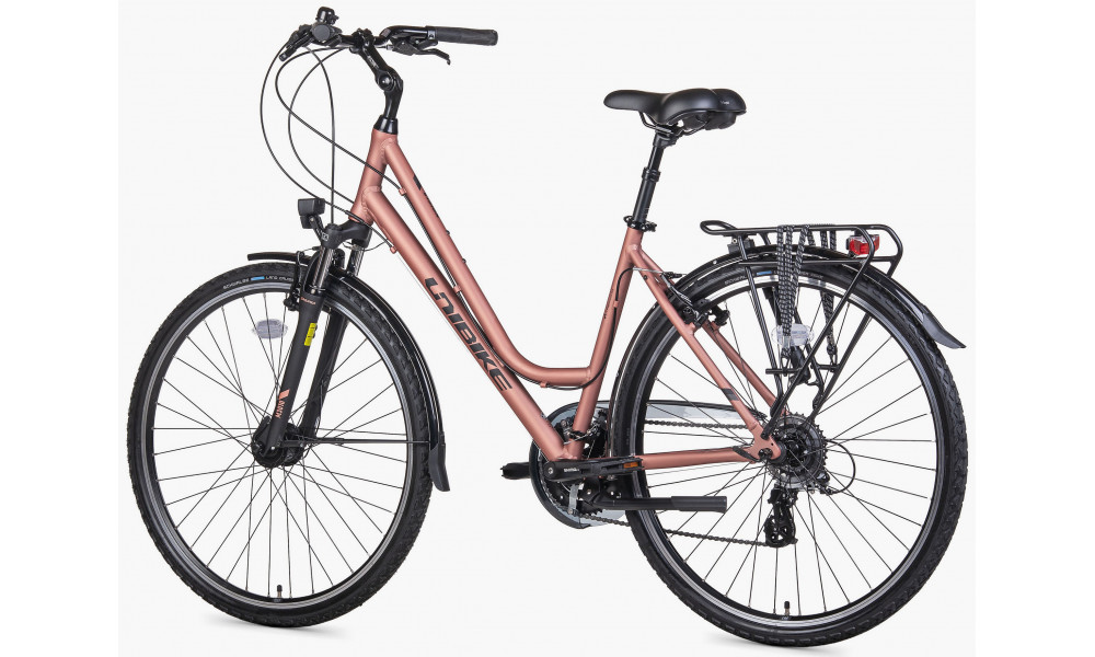 Dviratis Unibike Vision LDS 2026 coral - 4