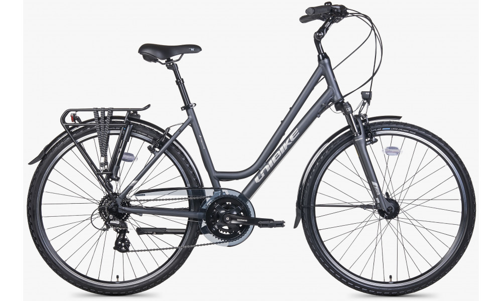 Dviratis Unibike Vision LDS 2026 grey - 1