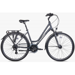 Dviratis Unibike Vision LDS 2026 grey