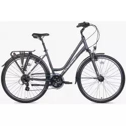 Dviratis Unibike Vision LDS 2026 grey