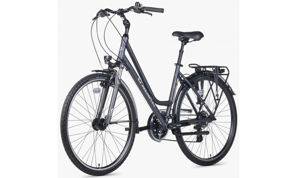Dviratis Unibike Vision LDS 2026 grey - 3
