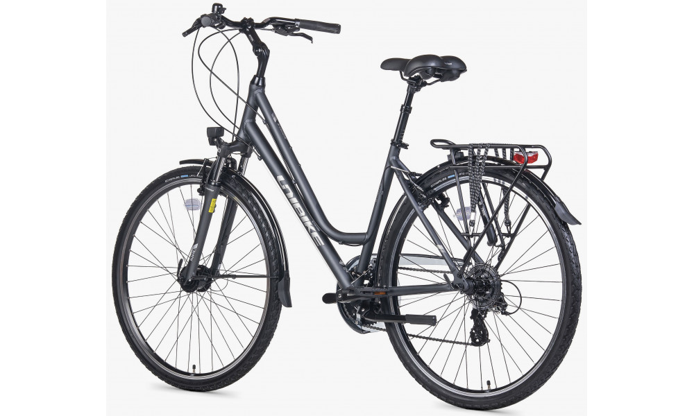 Dviratis Unibike Vision LDS 2026 grey - 4