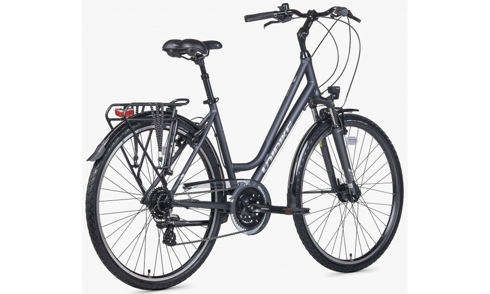 Dviratis Unibike Vision LDS 2026 grey - 5