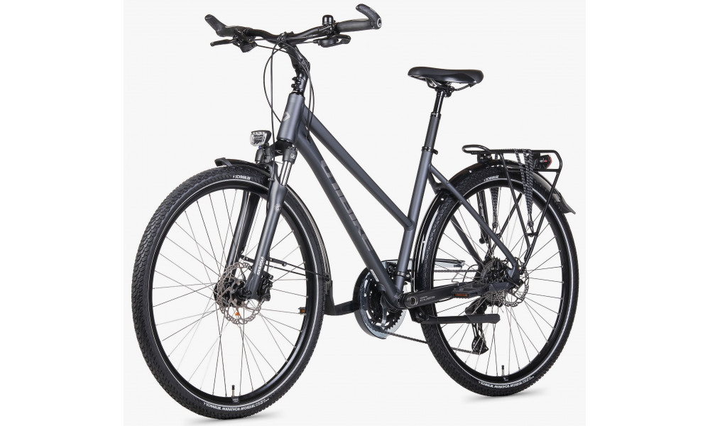 Dviratis Unibike Atlantis LDS 2026 grey - 3