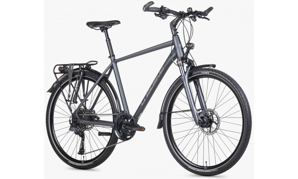 Dviratis Unibike Globetrotter GTS 2026 grey - 3