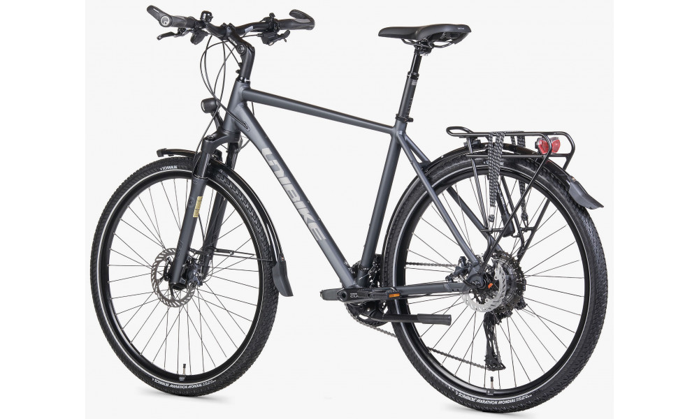 Dviratis Unibike Globetrotter GTS 2026 grey - 5