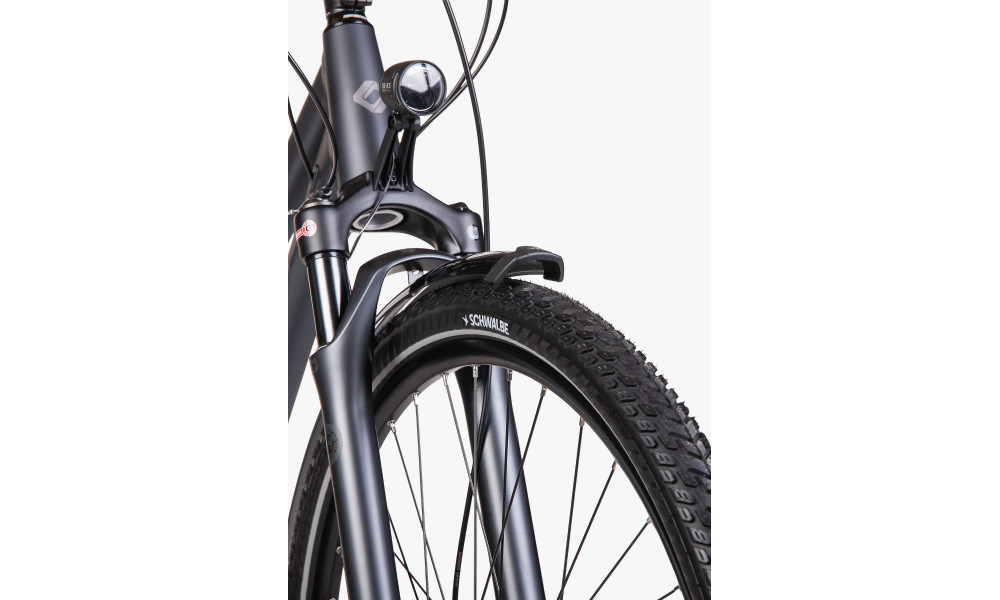 Dviratis Unibike Globetrotter GTS 2026 grey - 10