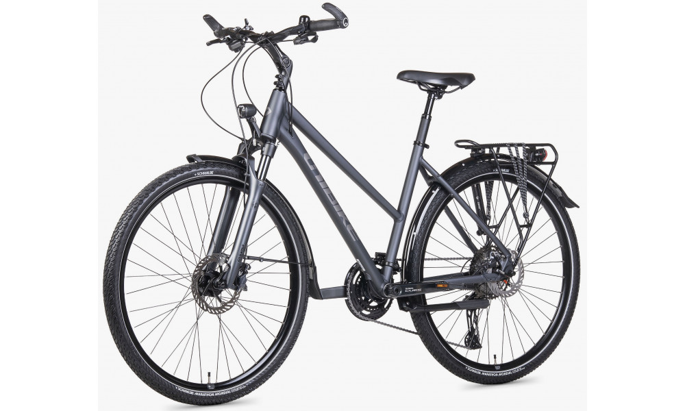 Dviratis Unibike Globetrotter LDS 2026 grey - 4
