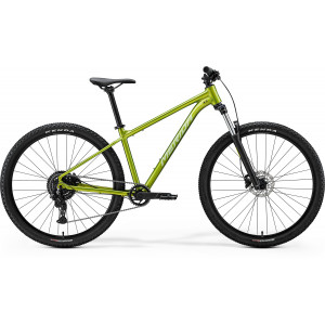 Dviratis Merida Big.Nine 20 2026 fall green(silvergreen)
