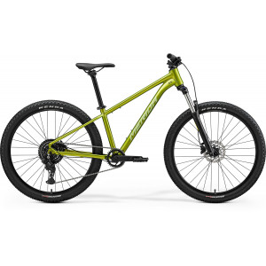 Dviratis Merida Big.Seven 20 2026 fall green(silvergreen)