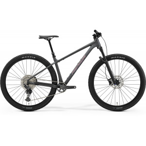 Dviratis Merida Big.Nine TR 700 2026 silk dark grey(rainbow purple)