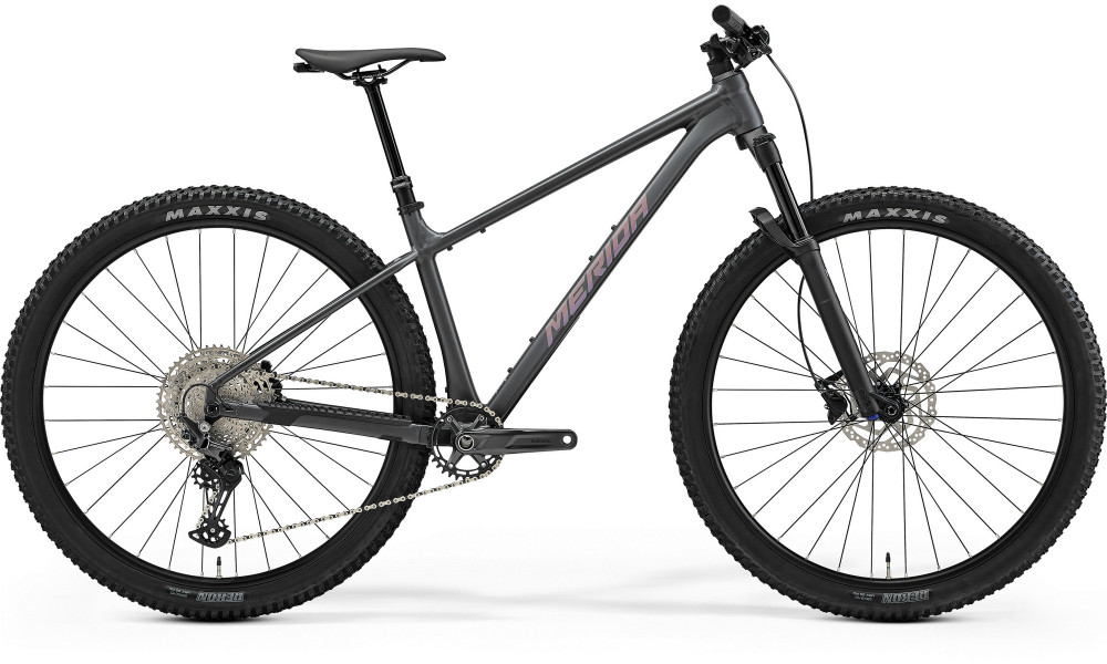 Dviratis Merida Big.Nine TR 700 2026 silk dark grey(rainbow purple) 