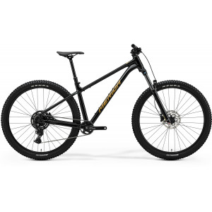 Dviratis Merida Big.Trail 300 2026 black(brown)