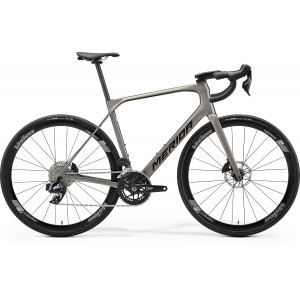 Dviratis Merida Scultura Endurance RIVAL Edition 2026 warm slate grey(black)