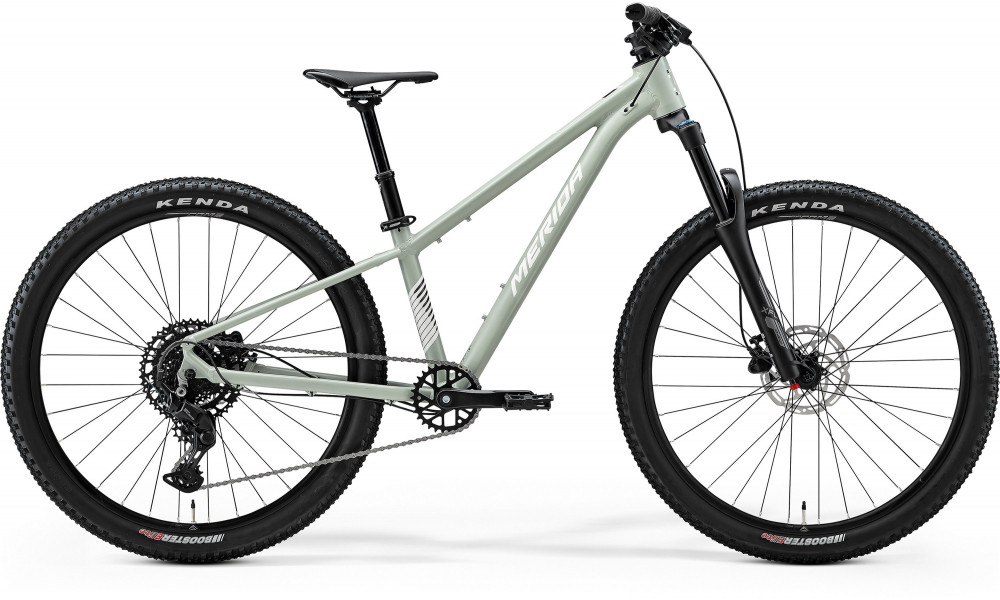 Dviratis Merida Matts J.Champion III2 2026 silk early moss grey(white) 