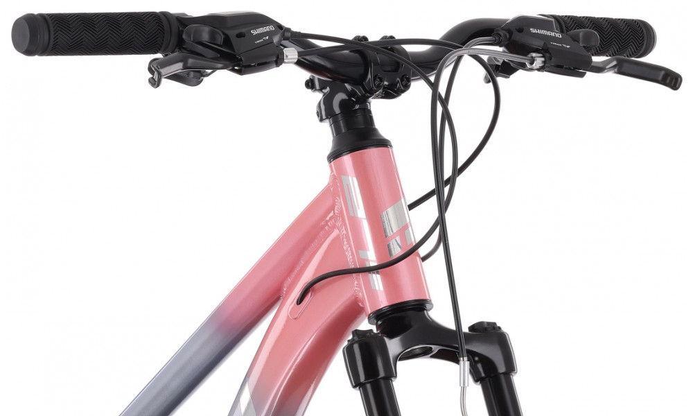 Dviratis Tabou Venom 2.0 W 27.5 pink-grey - 5