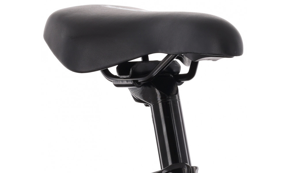 Dviratis Tabou Poison 20 Pro blue-black - 6