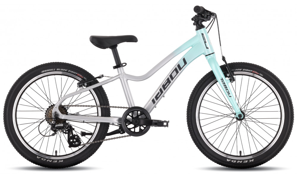 Dviratis Tabou Topshe 20 Lite mint-grey - 1