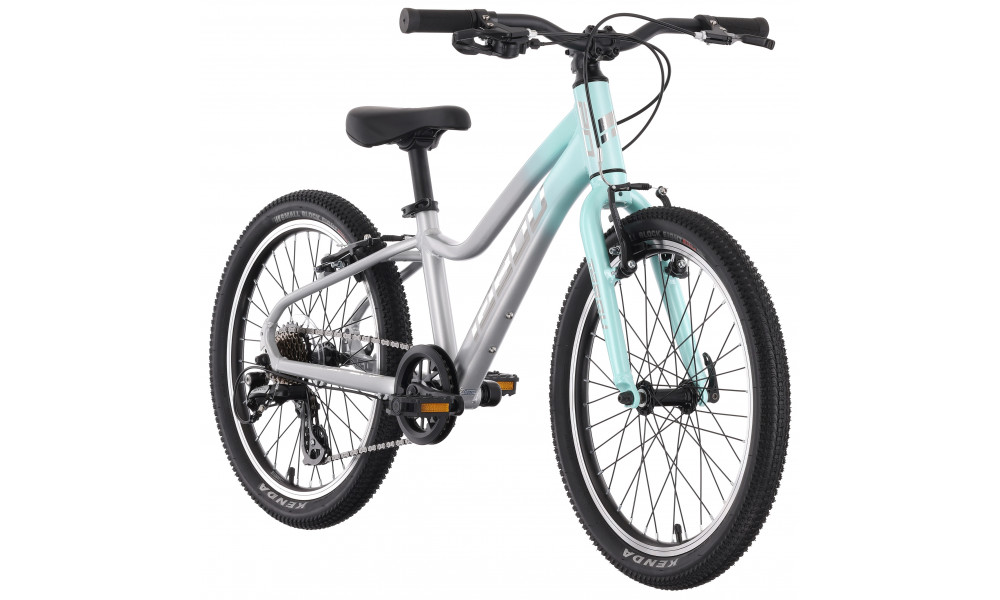 Dviratis Tabou Topshe 20 Lite mint-grey - 2