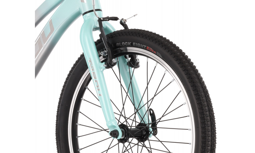 Dviratis Tabou Topshe 20 Lite mint-grey - 4