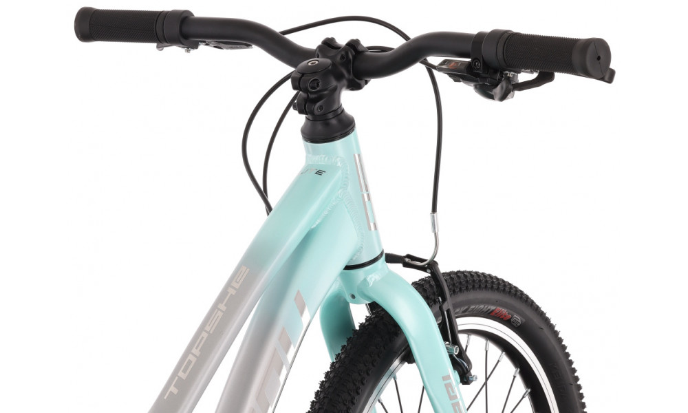 Dviratis Tabou Topshe 20 Lite mint-grey - 7
