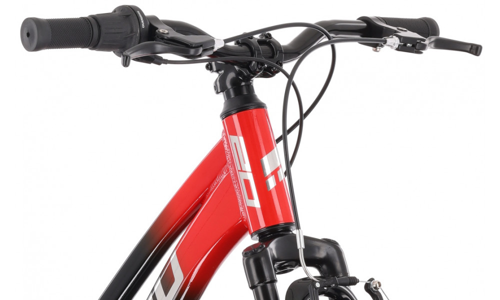 Dviratis Tabou Poison 20 red-black - 5