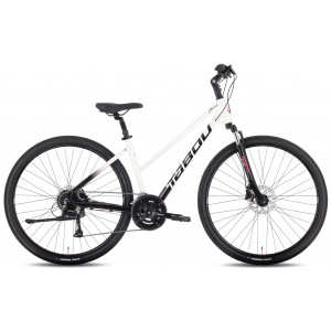 Dviratis Tabou Flow 2 W 17 black-mint