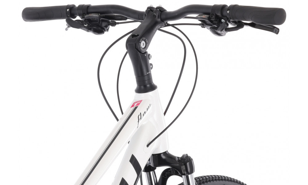 Dviratis Tabou Flow 2 W 21 black-white - 7
