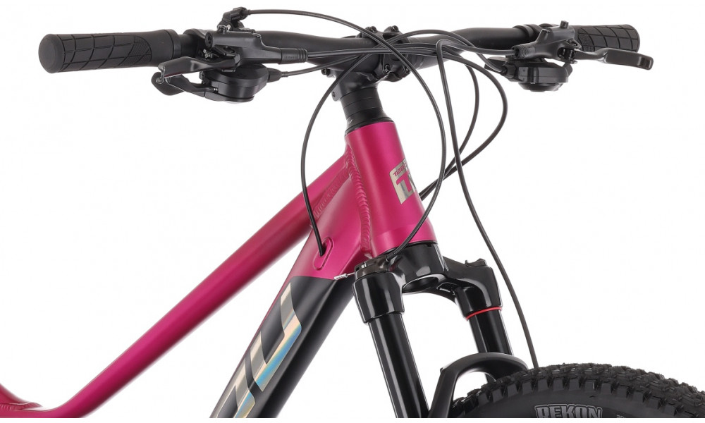 Dviratis Tabou Blade 29 5 W black-fuxia - 5