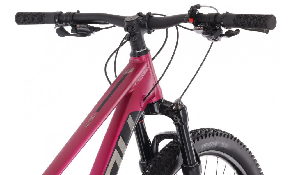 Dviratis Tabou Blade 29 5 W black-fuxia - 7