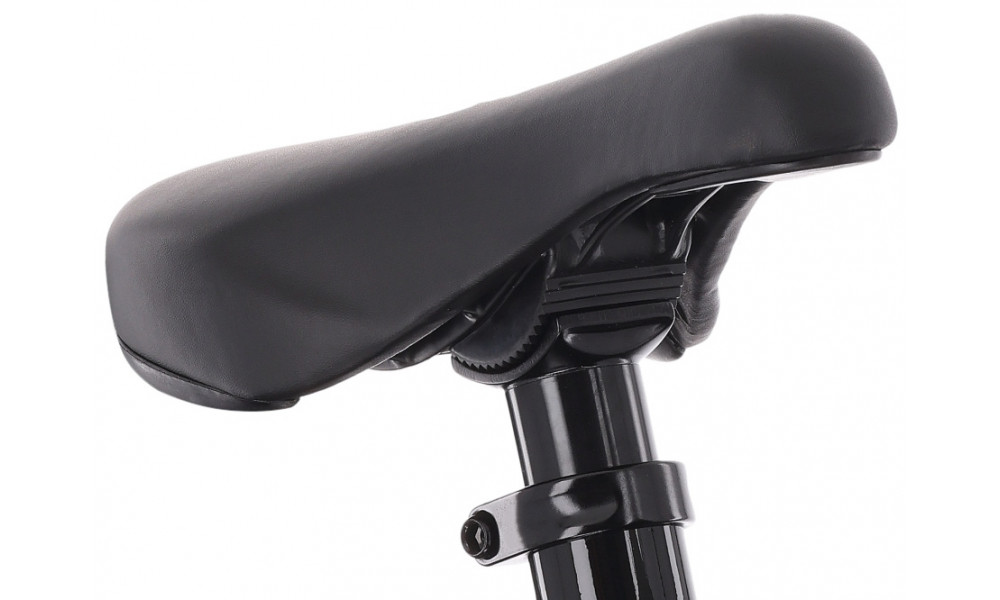 Dviratis Tabou Tabspin Pro 26 blue-black - 5