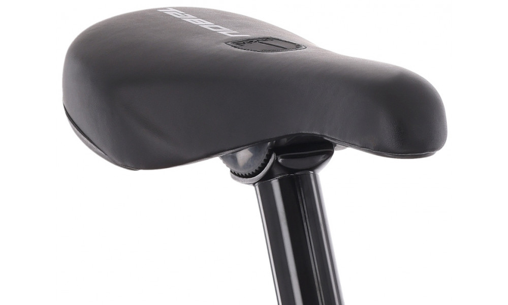 Dviratis Tabou Tabspin Pro 26 blue-black - 6