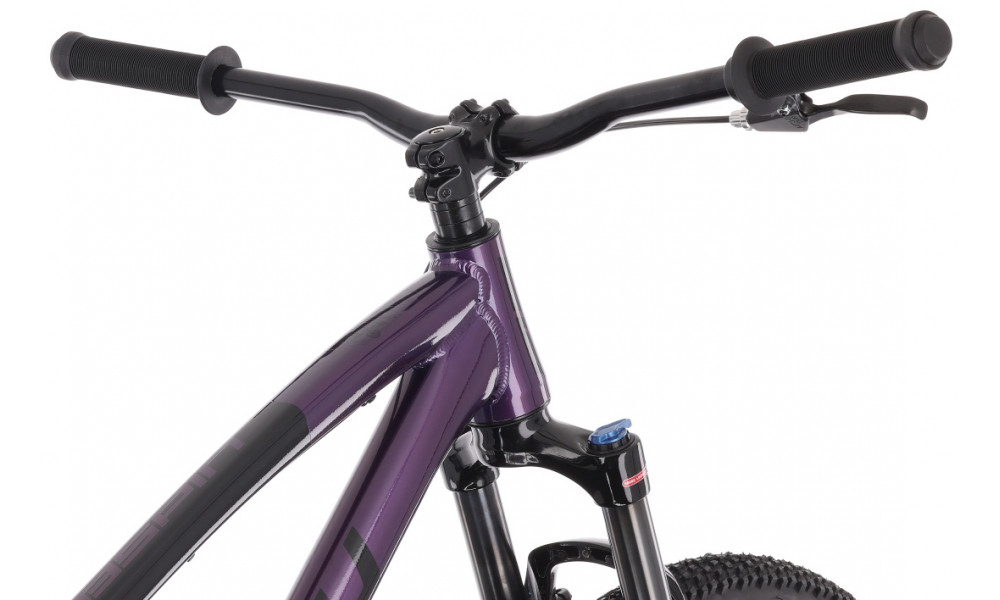 Dviratis Tabou Tabspin 26 purple-black - 8