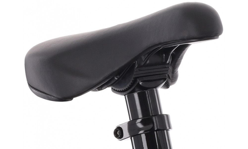 Dviratis Tabou Tabspin JR 24 purple-black - 5