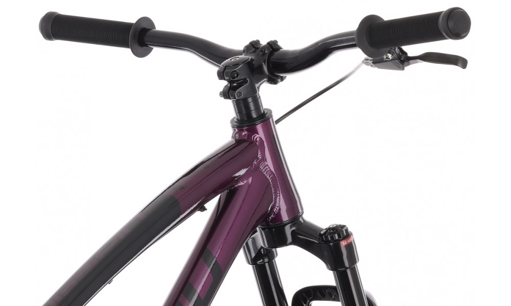 Dviratis Tabou Tabspin JR 24 purple-black - 8