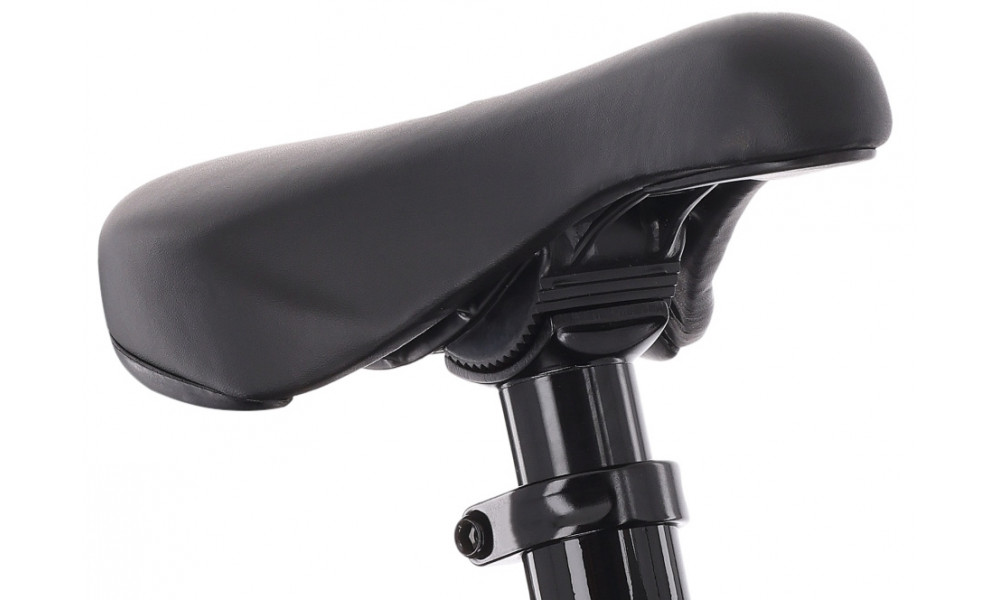Dviratis Tabou Tabspin JR 24 turq-black - 5