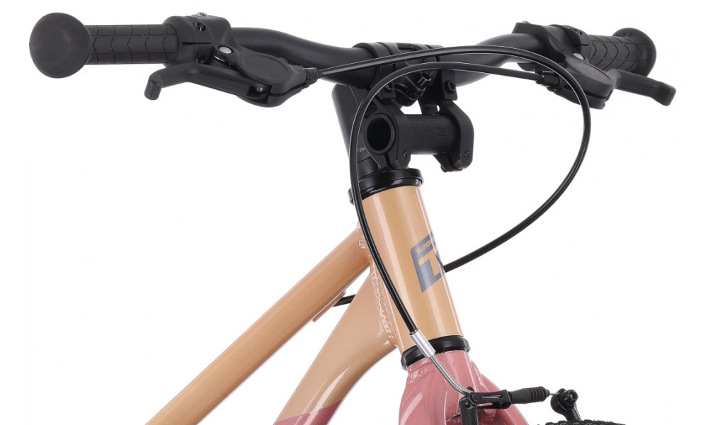 Dviratis Tabou Superlite JR 18 W coral-pink - 5