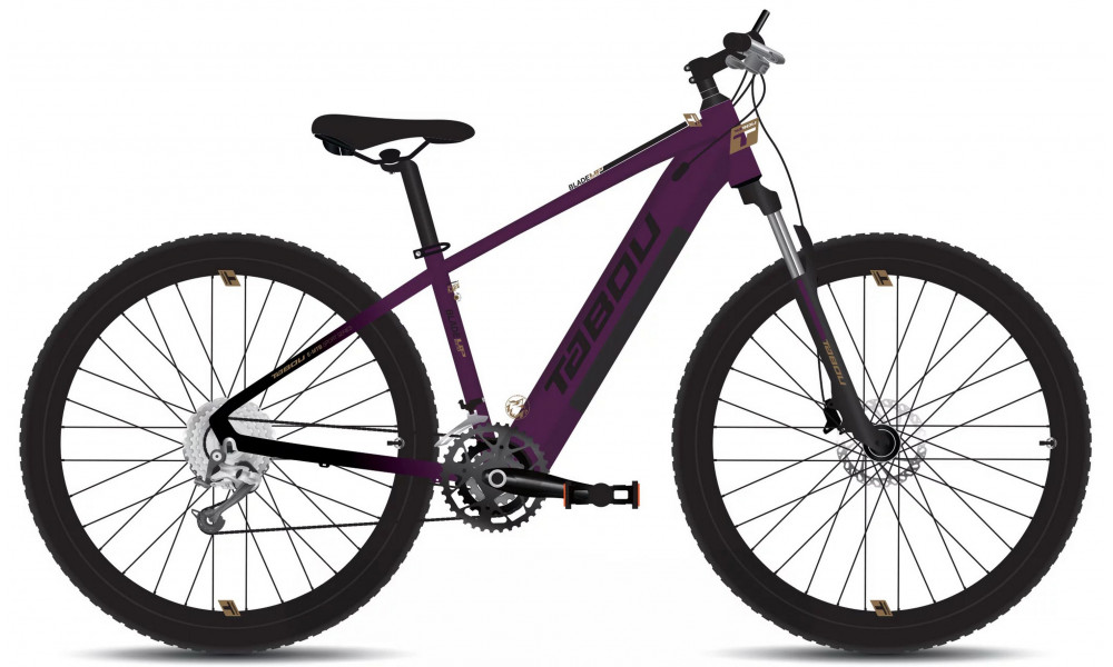 Elektrinis dviratis Tabou Blade UP ECO 29 black-purple 