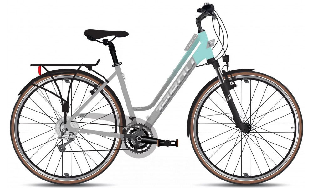 Dviratis Tabou Kinetic 2 W grey-mint 