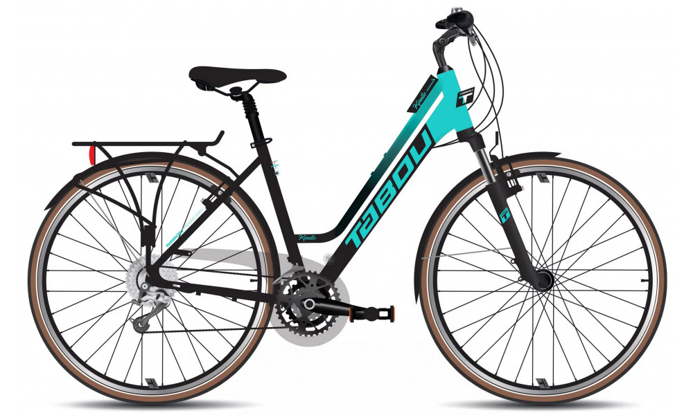 Dviratis Tabou Kinetic 1 W black-mint 