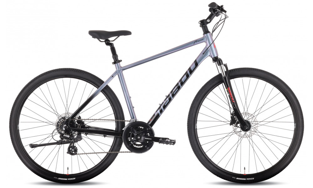 Dviratis Tabou Flow 1 19 black-chameleon - 1