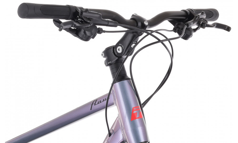 Dviratis Tabou Flow 1 19 black-chameleon - 6