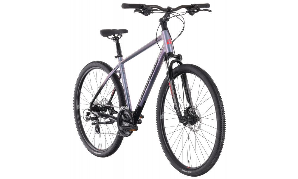 Dviratis Tabou Flow 1 21 black-chameleon - 2
