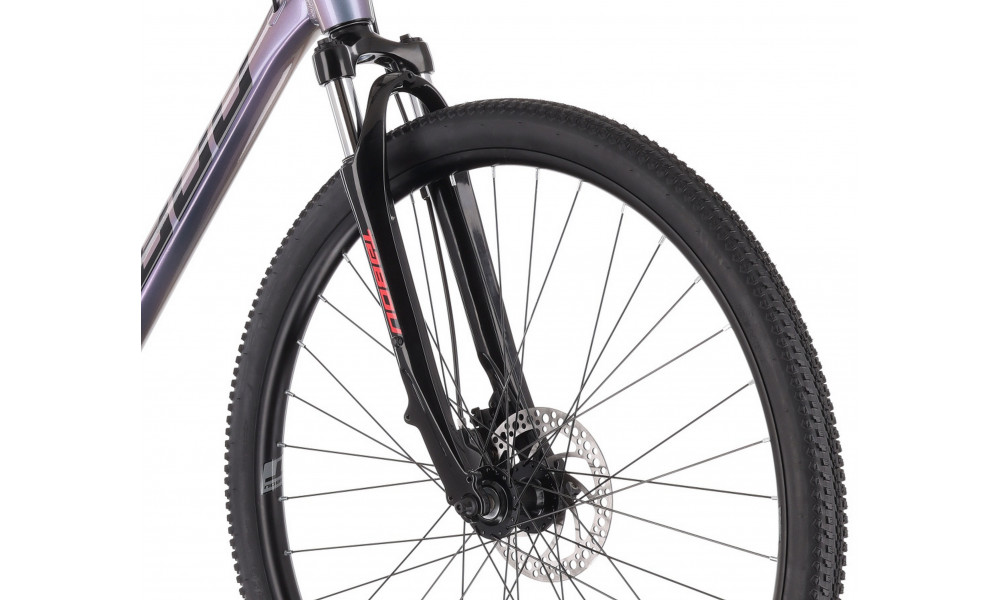 Dviratis Tabou Flow 1 21 black-chameleon - 4
